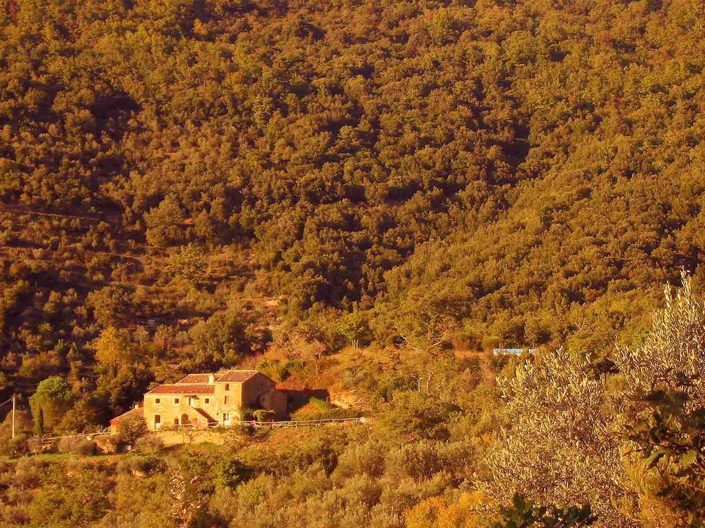 Locanda San Martino A Bocena Кортона Экстерьер фото