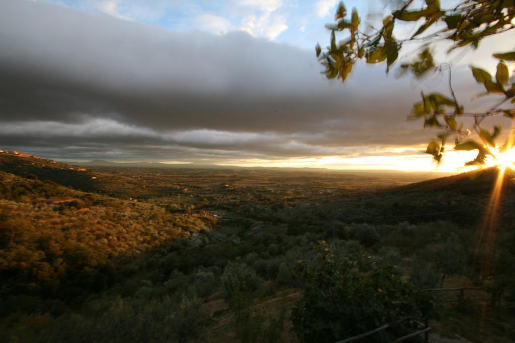 Locanda San Martino A Bocena Кортона Экстерьер фото