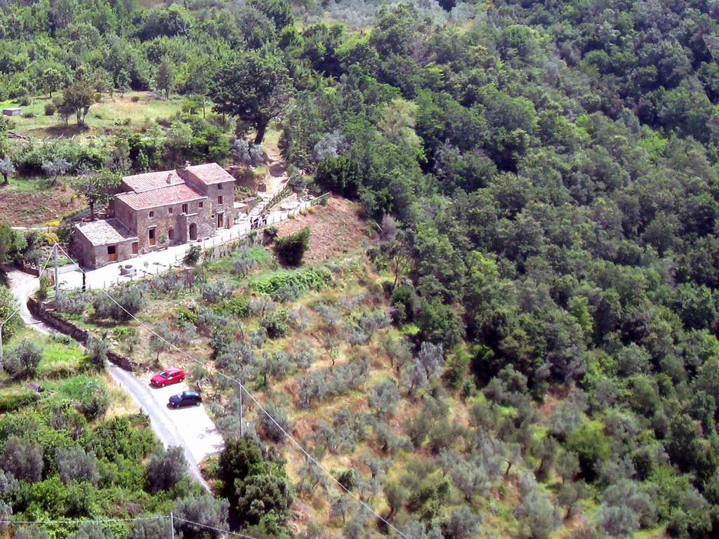 Locanda San Martino A Bocena Кортона Экстерьер фото