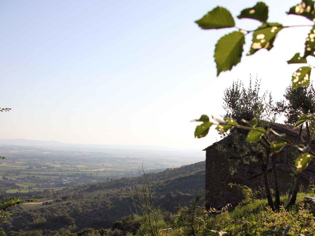Locanda San Martino A Bocena Кортона Экстерьер фото
